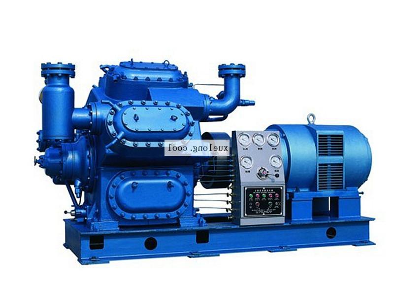 Dalian Ruixue 100 piston refrigeration compressor